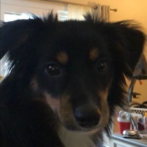 Meet your Posher, Dave